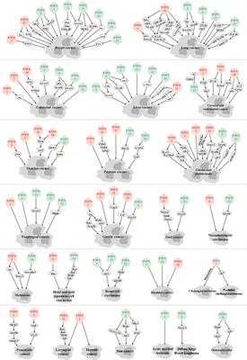 Critical roles of PTPN family members regulated by non-coding RNAs in tumorigenesis and immunotherapy